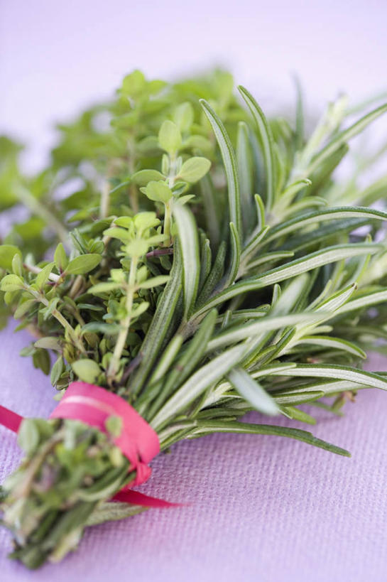 无人,竖图,室外,特写,白天,美景,静物,景观,串,饮食,自然,景色,摄影,迷迭香,草本,清新,自然风光,彩图,柠檬百里香