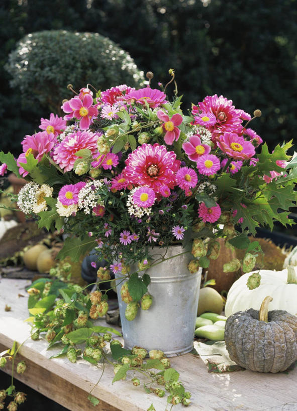 无人,竖图,室外,白天,美景,植物,静物,景观,粉色,自然,花束,景色,摄影,自然风光,彩图