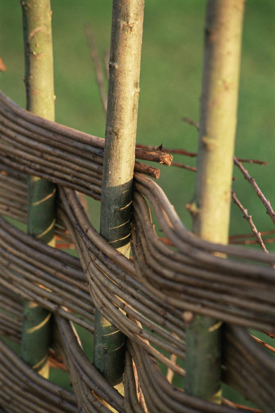 无人,竖图,室外,特写,白天,植物,柳树,织物,自然,摄影,柔焦,织女,式样,美术工艺,彩图,机织物