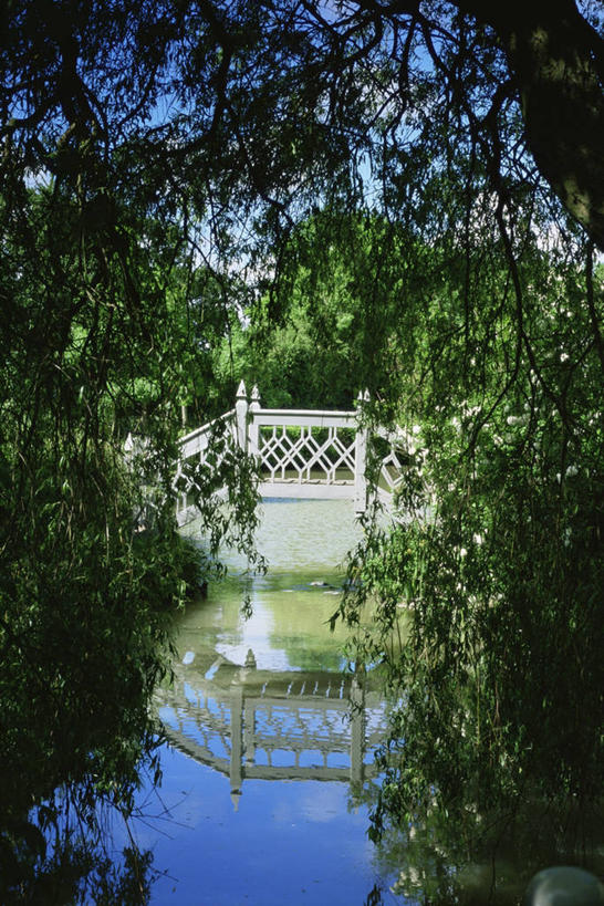 无人,竖图,室外,白天,美景,反射,池塘,景观,桥,浪漫,垂柳,自然,景色,摄影,自然风光,彩图