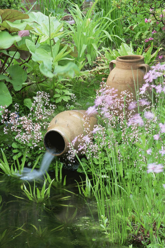 无人,竖图,室外,白天,美景,植物,溅,池塘,景观,自然,景色,摄影,自然风光,彩图