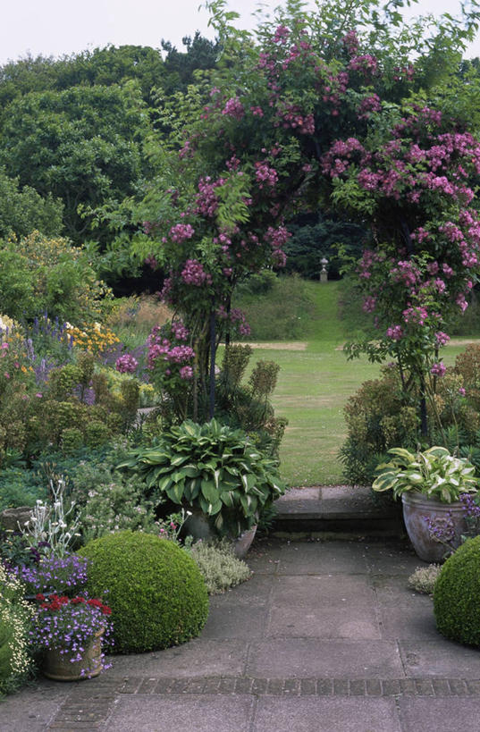 无人,竖图,室外,白天,美景,植物,景观,自然,景色,摄影,焦点,自然风光,彩图