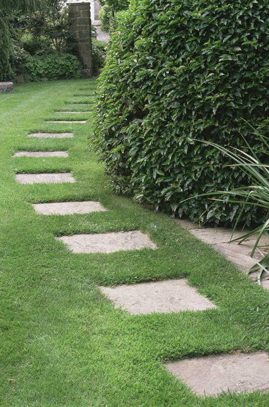 无人,竖图,室外,白天,美景,植物,弯曲,景观,园艺,小路,自然,景色,摄影,垫脚石,自然风光