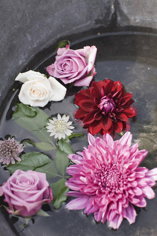 无人,竖图,室外,特写,白天,留白,感激,美景,水,玫瑰,静物,漂浮,新鲜,景观,大丽花,花,花瓣,排列,粉色,红色,自然,插花,花束,菊花,景色,摄影,大理花,锡,环境,天竺牡丹,清新,自然风光,大丽菊,吉利,新意,富丽,大方,新颖,彩图,全画面,全框架,全帧,背叛,地瓜花,东洋菊,全画幅