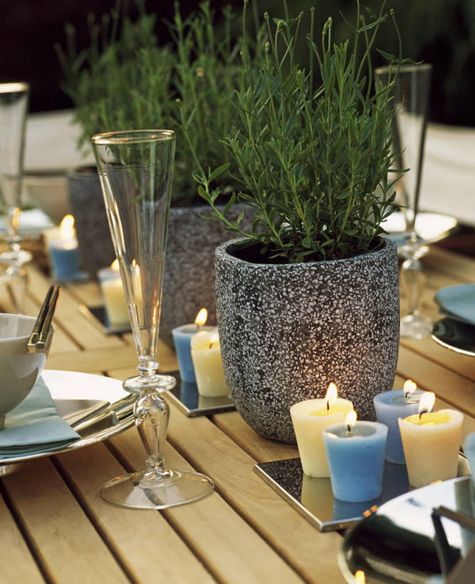 无人,竖图,室外,特写,白天,美景,植物,桌子,蜡烛,花盆,装饰,景观,现代,自然,容器,景色,摄影,生活方式,迷迭香,草本,宴会,自然风光,彩图,对焦