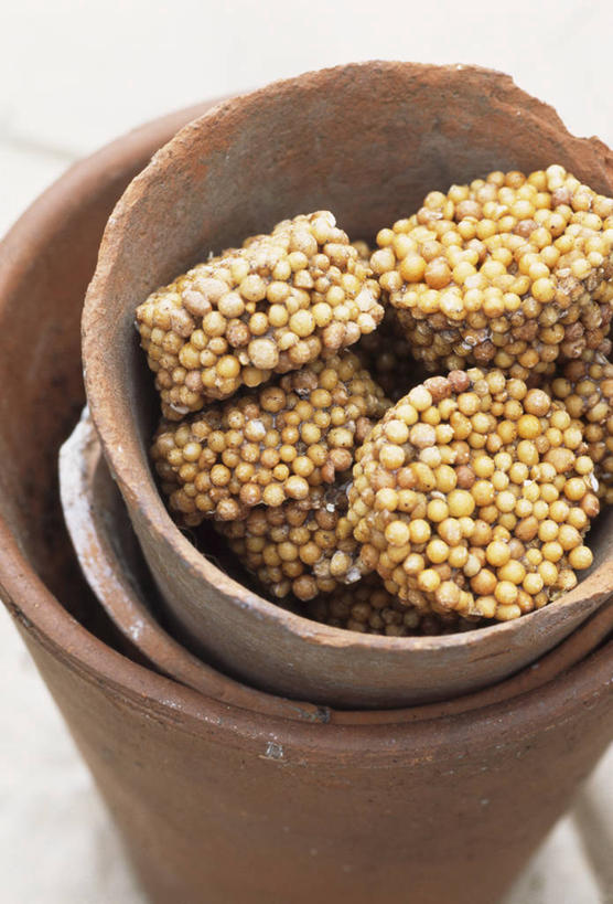 无人,竖图,室外,特写,白天,多次曝光,美景,植物,景观,自然,景色,摄影,自然风光,彩图,对焦