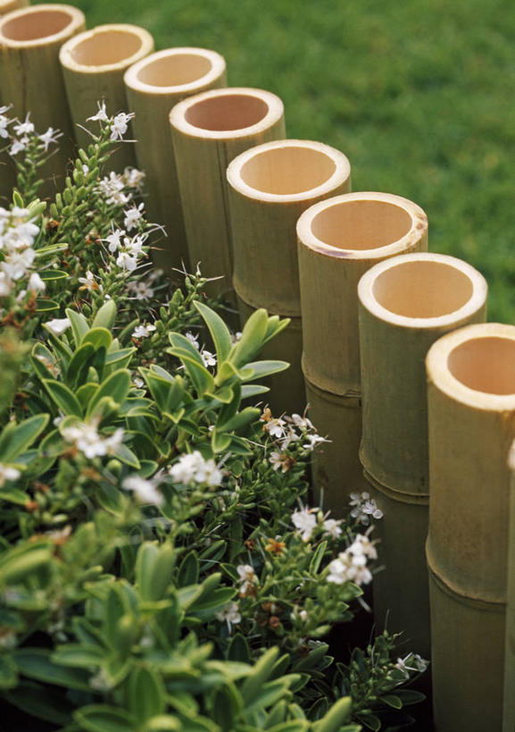 无人,竖图,室外,特写,白天,美景,植物,景观,自然,夏天,景色,摄影,自然风光,彩图,对焦