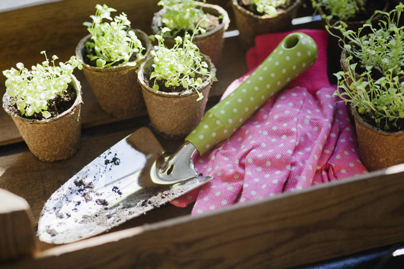 无人,横图,室外,特写,白天,留白,安全,美景,植物,微生物,静物,叶子,花盆,金属制品,种植,分离,金属,木制,铲子,斑点,景观,泥土,园艺,防护,设备,盒子,物品,排列,粉色,自然,容器,手套,春天,夏天,景色,摄影,保护,纤维,泥刀,清新,自然风光,保险,秧苗,板条箱,保全,周全,安稳,安定,防护手套,分解,平安,彩图,手铲,对焦,降解,生物降解,半边莲属,生物降解材料