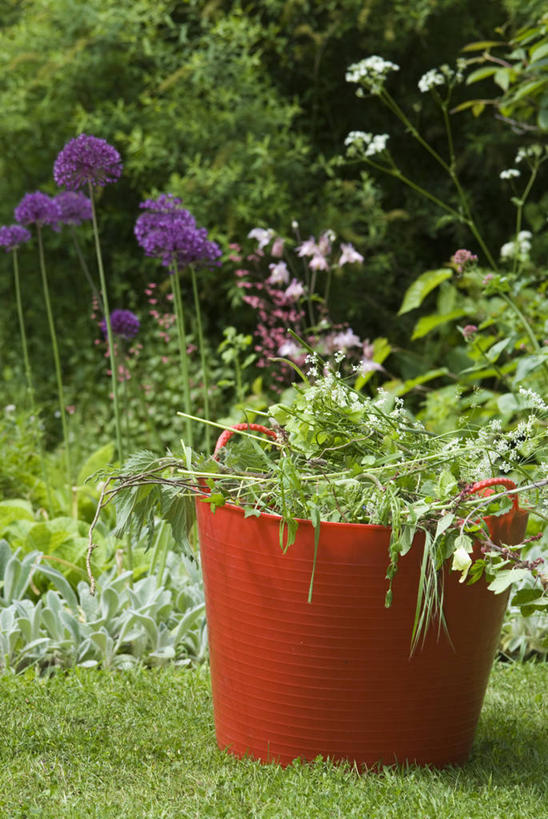 无人,竖图,室外,白天,留白,背景,美景,植物,床,工作,花坛,塑胶,景观,园艺,设备,物品,花,花瓣,红色,紫色,自然,容器,春天,职业,橙色,景色,摄影,生长,灌木,明亮,除草,自然风光,彩图,对焦