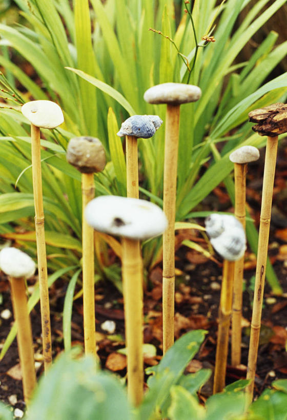 无人,竖图,室外,特写,白天,美景,植物,贝壳,装饰,浮木,景观,自然,鹅卵石,景色,摄影,自然风光,循环利用,竹,彩图