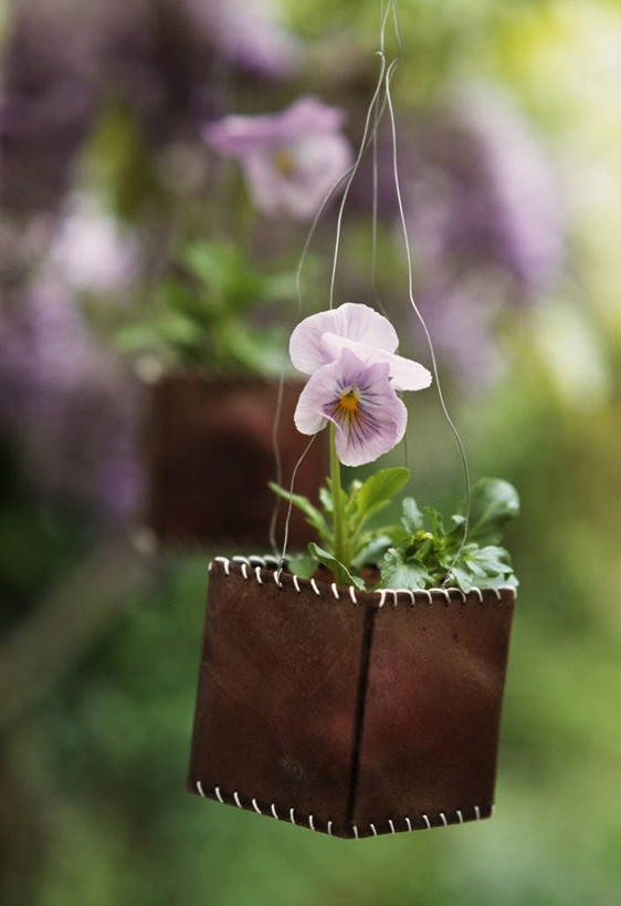 无人,竖图,室外,特写,白天,美景,紫罗兰,吊挂,悬挂,景观,挂,现代,一个,自然,容器,春天,景色,摄影,单个,自然风光,三色紫罗兰,羊皮纸,彩图