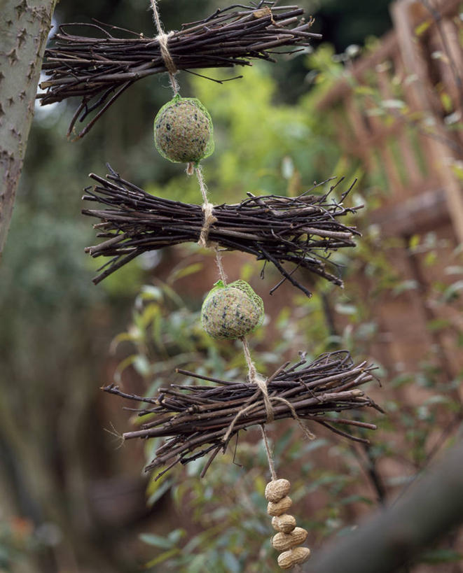 无人,竖图,室外,特写,白天,美景,野生动物,椰子,花生,贝壳,吊挂,悬挂,鸟类,景观,冬天,食品,坚果,种子,挂,自然,景色,摄影,自然风光,嫩枝,彩图