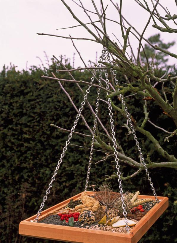 无人,竖图,室外,特写,白天,美景,野生动物,苹果,浆果,水果,吊挂,悬挂,木制,景观,冬天,食品,种子,挂,饮食,一个,自然,景色,摄影,单个,自然风光,喂鸟器,稷,彩图