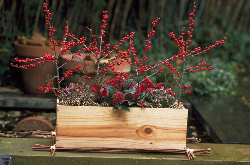 无人,横图,室外,特写,白天,美景,浆果,水槽,景观,花,粉色,红色,自然,容器,景色,摄影,灌木,自然风光,酒箱,循环利用,石南花,秋天,彩图