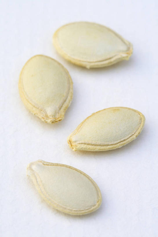 无人,竖图,室内,特写,白天,白色背景,美景,植物,蔬菜,景观,园艺,食品,种子,西葫芦,饮食,白色,自然,景色,摄影,环境,自然风光,开端,休闲活动,胡瓜,彩图,影棚拍摄