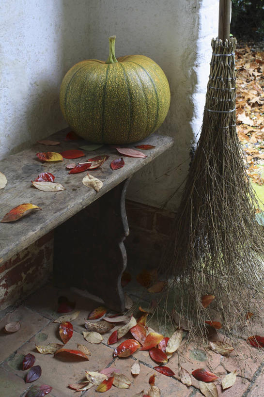 无人,竖图,室外,特写,白天,农业,农作物,美景,植物,南瓜,蔬菜,叶子,扫帚,景观,食品,饮食,自然,虚构,万圣节,景色,季节,摄影,落下,环境,清新,自然风光,选择,干的,女巫,秋天,彩图,门廊