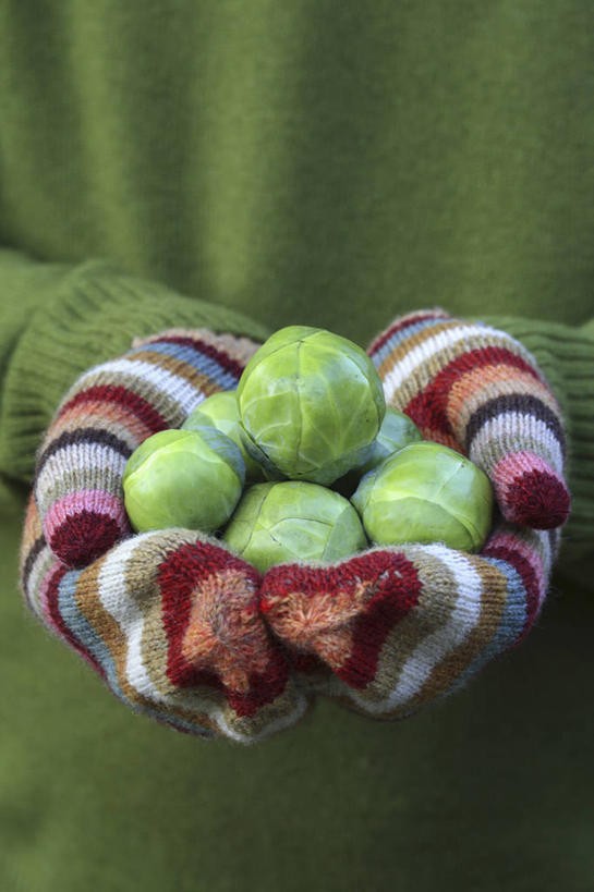 成年人,中年人,手,一个人,竖图,彩色,室外,特写,白天,安全,农业,农作物,美景,植物,蔬菜,纺织品,仅一个男性,仅一个人,仅一个中年男性,条纹,景观,园艺,冬天,食品,防护,饮品,拿着,饮食,食物,饮料,自然,手套,景色,人体,摄影,五颜六色,保护,部分,羊毛,环境,色彩斑斓,可口,清新,自然风光,保险,选择,五彩缤纷,健康食物,连指手套,保全,周全,安稳,安定,防护手套,五彩斑斓,球芽甘蓝,式样,适口,五光十色,平安,男人,男性,中年男性,秋天,休闲活动,彩图