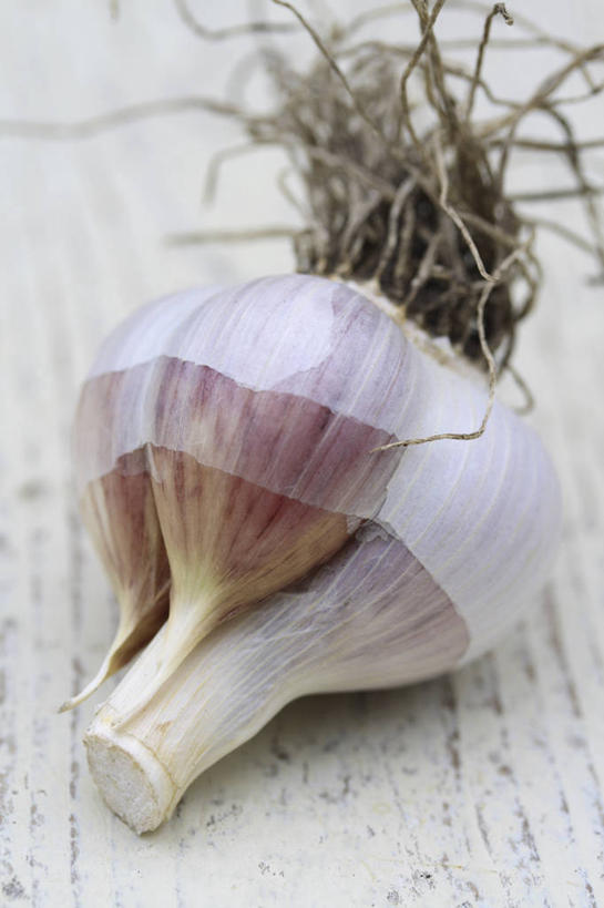 无人,竖图,室内,特写,白天,留白,白色背景,农业,农作物,美景,植物,蔬菜,景观,食品,根部,调味品,蒜头,饮食,一个,粉色,白色,自然,景色,摄影,有机食品,蒜瓣,单个,环境,草本,清新,自然风光,选择,大蒜,彩图