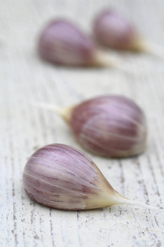 无人,竖图,室内,特写,白天,留白,白色背景,农业,农作物,美景,植物,蔬菜,景观,食品,饮品,调味品,饮食,食物,饮料,粉色,白色,自然,景色,摄影,有机食品,蒜瓣,环境,草本,可口,清新,自然风光,选择,适口,大蒜,彩图,影棚拍摄