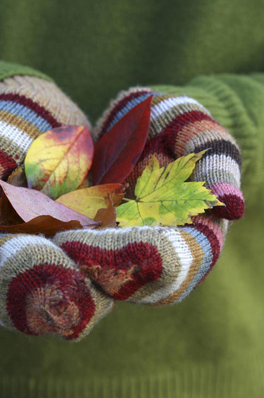 成年人,中年人,手,一个人,竖图,彩色,室外,特写,白天,安全,农业,农作物,美景,植物,叶子,纺织品,仅一个男性,仅一个人,仅一个中年男性,条纹,景观,园艺,冬天,防护,拿着,自然,手套,景色,人体,摄影,五颜六色,保护,部分,羊毛,环境,色彩斑斓,清新,自然风光,保险,选择,五彩缤纷,连指手套,保全,周全,安稳,安定,防护手套,五彩斑斓,式样,五光十色,平安,男人,男性,中年男性,秋天,休闲活动,彩图