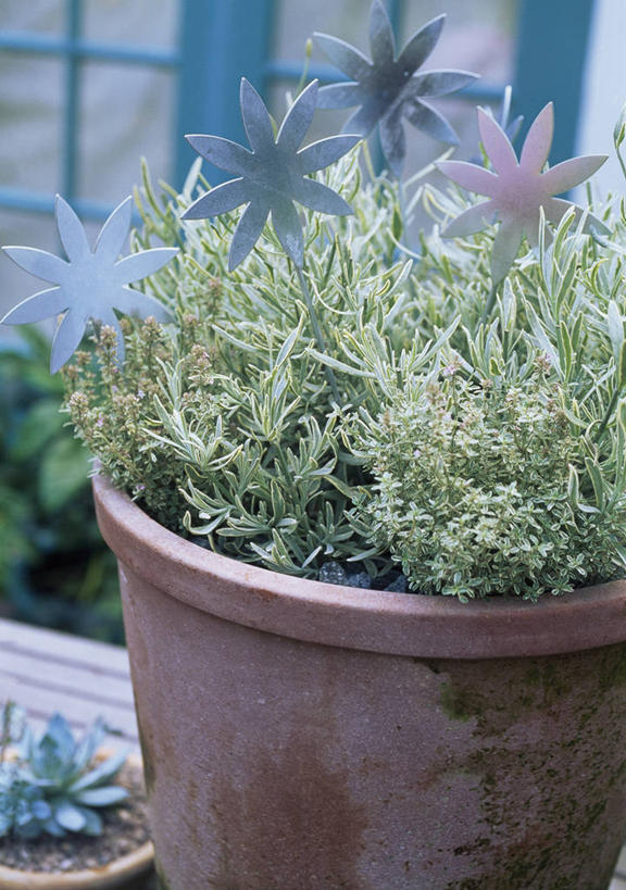 无人,竖图,室外,特写,白天,美景,植物,装饰,金属,景观,自然,夏天,景色,摄影,环境,百里香,草本,自然风光,手艺,美术工艺,彩图