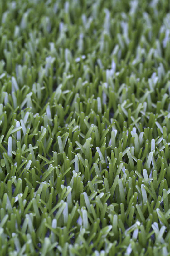 无人,竖图,室外,特写,白天,背景,草坪,美景,植物,塑胶,庭院,景观,草,自然,草皮,景色,摄影,环境,自然风光,肌理,彩图,全画面,全框架,全帧,全画幅