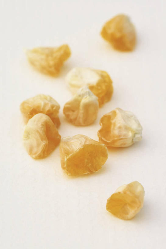 无人,竖图,室内,特写,白天,白色背景,玉米,美景,植物,蔬菜,景观,园艺,食品,种子,饮食,黄色,白色,自然,景色,摄影,环境,自然风光,开端,彩图,影棚拍摄,甜玉米