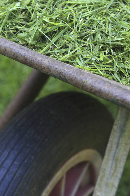 无人,家庭,竖图,室外,特写,白天,草坪,美景,植物,庭院,景观,园艺,设备,物品,草,自然,夏天,职业,温暖,温馨,一家人,景色,摄影,环境,和睦,关爱,自然风光,独轮手推车,休闲活动,彩图,融洽,家务劳动