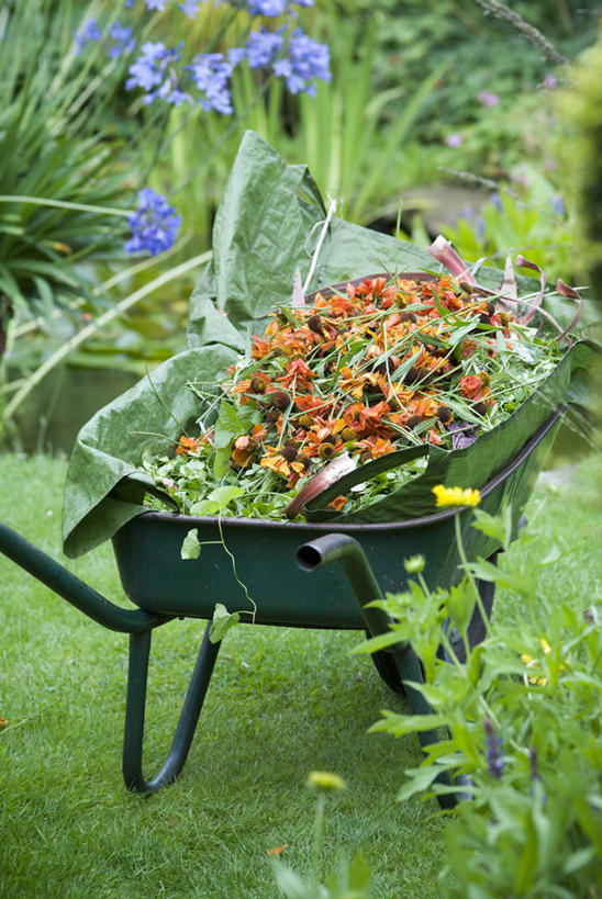 无人,竖图,室外,白天,美景,植物,景观,园艺,设备,物品,自然,景色,摄影,环境,关爱,自然风光,独轮手推车,彩图