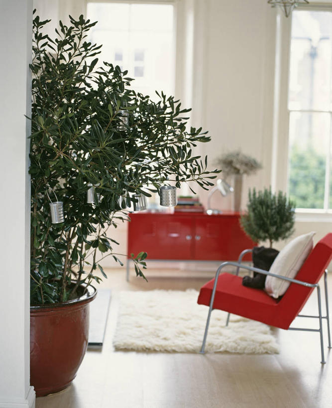 无人,竖图,室内,特写,白天,美景,植物,圣诞节,装饰,景观,冬天,圣诞树,现代,座位,自然,景色,摄影,灌木,环境,起居室,自然风光,常绿树,彩图,法定假日