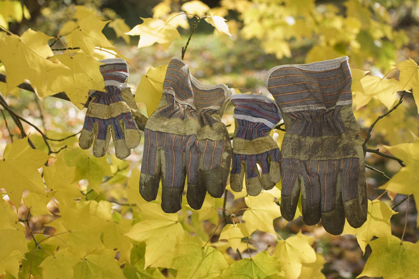 无人,横图,彩色,室外,特写,白天,留白,工作服,制服,安全,枫树,叶子,英国,吊挂,悬挂,枝,防护,挂,设备,物品,黄色,手套,晾衣服,摄影,五颜六色,保护,色彩斑斓,保险,防护服,五彩缤纷,落叶树,保全,周全,安稳,安定,防护手套,五彩斑斓,工作制服,五光十色,烘干,平安,秋天,彩图,工作套服,对焦