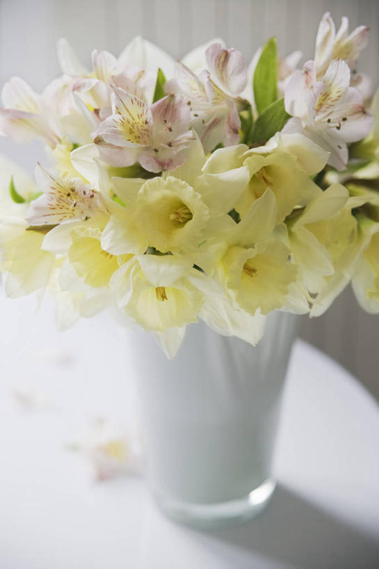 无人,竖图,室内,美景,植物,水仙花,静物,花瓶,景观,黄色,自然,花束,景色,摄影,自然风光,苍白,彩图,影棚拍摄