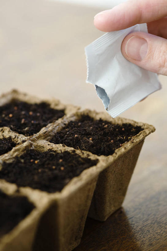 手,一个人,竖图,特写,白天,留白,农业,花盆,英国,种植,朦胧,模糊,工作,泥土,园艺,种子,设备,物品,容器,春天,职业,手指,播种,人体,摄影,生活方式,关爱,清新,柔焦,彩图,对焦,家务劳动