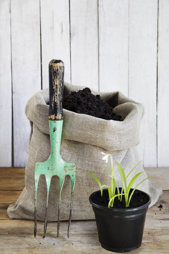 无人,竖图,室内,美景,植物,静物,金属制品,金属,工具,景观,泥土,园艺,冬天,设备,物品,自然,景色,摄影,耙子,自然风光,农具,雪花莲,耕具,彩图,影棚拍摄