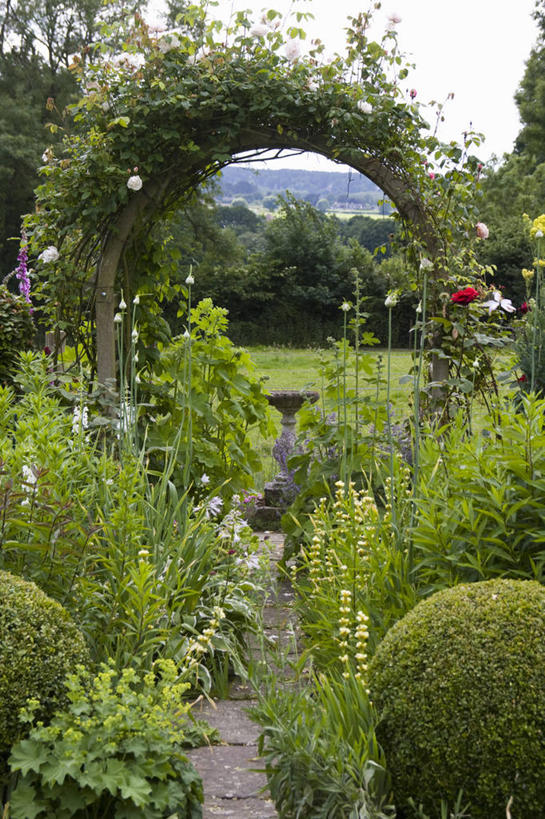 无人,攀登,竖图,室外,白天,美景,植物,玫瑰,叶子,花坛,景观,拱门,小路,花,绿色,自然,夏天,景色,摄影,多样,灌木,焦点,自然风光,日晷,彩图,多年生植物,花园路