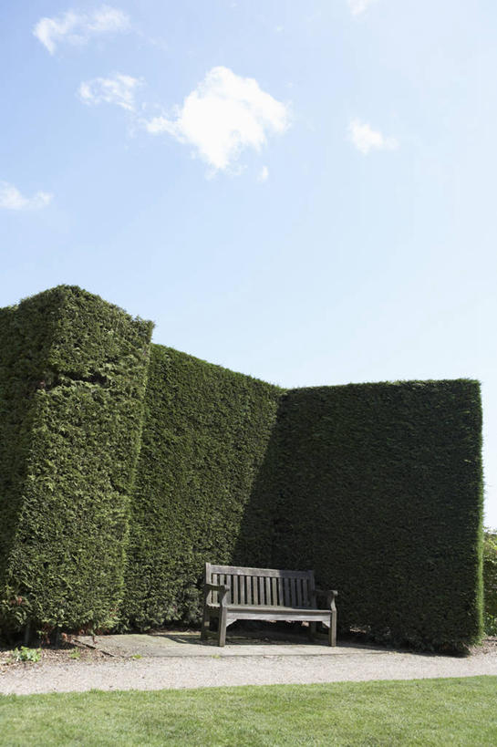 无人,竖图,室外,白天,留白,美景,家具,日光,英国,正装,木制,长椅,景观,云,座位,蓝色,天空,自然,夏天,景色,摄影,园林,自然风光,边界,曲别针,常绿树,紫杉,艾塞克斯大学,树篱,彩图