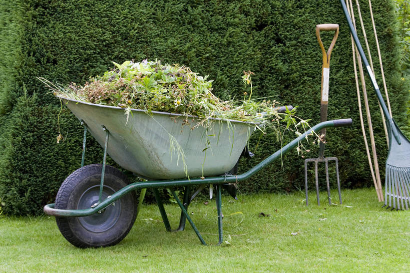 无人,横图,室外,白天,留白,草坪,美景,植物,金属制品,工作,金属,工具,庭院,景观,园艺,设备,物品,草,自然,夏天,职业,景色,摄影,污染,耙子,除草,自然风光,农具,独轮手推车,耕具,树篱,彩图,家务劳动