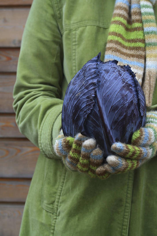 西方人,成年人,手,一个人,竖图,室外,特写,白天,留白,正面,安全,农业,农作物,蔬菜,叶子,英国,欧洲,欧洲人,仅一个女性,一把,条纹,朦胧,模糊,园艺,冬天,生食,食品,防护,饮品,拿着,外套,饮食,英格兰,食物,饮料,一个,绿色,紫色,手套,围巾,甘蓝,人体,摄影,生活方式,单个,保护,红球甘蓝,可口,清新,运送,保险,选择,英国文化,保全,周全,安稳,安定,防护手套,茄克,式样,适口,平安,女人,白种人,秋天,彩图,对焦