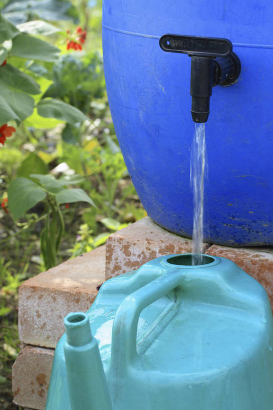 无人,竖图,室外,特写,白天,留白,雨,喷壶,水龙头,塑胶,庭院,园艺,设备,物品,蓝色,夏天,摄影,环境,循环利用,充满,彩图,对焦