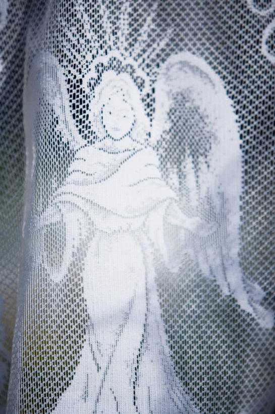 无人,竖图,室内,特写,静物,天使,翅膀,材料,网,图像,白色,概念,虚构,摄影,仙女,构图,想法,彩图,时空