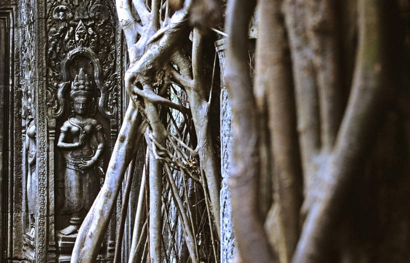 无人,寺庙,横图,室外,白天,正面,旅游,度假,名胜古迹,标志建筑,地标,建筑,雕塑,柬埔寨,亚洲,阴影,节日,遗迹,艺术,装饰,光线,雕刻,雕像,影子,墙,枝条,古迹,文化,文物,娱乐,建设,古建筑,墙壁,墙面,树枝,阳光,工艺品,庙宇,祈祷,享受,休闲,健康,旅游胜地,放松,许愿,宗教,东南亚,佛教,信仰,纪念,祈求,美术,主题,陈列,古文明,暹粒,高棉,塔普伦寺,塔布茏寺,柬埔寨王国,功能,美学,吉蔑,释教,虬枝,枝杈,大吴哥城,吴哥,吴哥城,吴哥通王城,平安,彩图,庙,寺