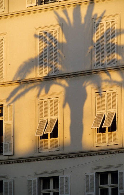 无人,家,竖图,室外,白天,正面,度假,美景,植物,窗户,城市风光,城市,棕榈树,叶子,法国,欧洲,戛纳,阴影,光线,影子,百叶窗,房屋,屋子,景观,公寓,绿叶,娱乐,洋房,楼房,住宅,树,树木,绿色,阳光,自然,享受,休闲,嫩叶,景色,放松,生长,成长,西欧,法兰西,棕榈叶,滨海阿尔卑斯,法兰西共和国,法兰西第五共和国,普罗旺斯.阿尔卑斯.蓝色海岸,普罗旺斯.阿尔卑斯.蓝色海岸大区,滨海阿尔卑斯省,坎城,康城,叶,叶片,棕树,棕榈,彩图,房子