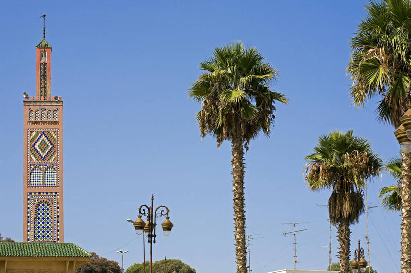 无人,横图,室外,白天,仰视,旅游,度假,名胜古迹,树林,植物,标志建筑,地标,建筑,路灯,棕榈树,叶子,照明,非洲,摩洛哥,阴影,节日,遗迹,光线,影子,灯光,绿叶,古迹,文化,文物,娱乐,建设,古建筑,灯,树,树木,蓝色,绿色,蓝天,天空,阳光,自然,天,祈祷,享受,休闲,健康,嫩叶,旅游胜地,放松,许愿,宗教,信仰,生长,晴朗,成长,纪念,祈求,照亮,伊斯兰教,照明设备,清真寺,古文明,棕榈叶,万里无云,省会,阿非利加洲,摩洛哥王国,丹吉尔,丹吉尔省,平安,叶,叶片,晴空,晴空万里,棕树,棕榈,彩图,低角度拍摄
