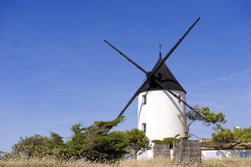 无人,横图,室外,白天,仰视,旅游,度假,灌溉,草地,草坪,美景,植物,风车,法国,欧洲,阴影,环保,光线,影子,景观,云,云朵,云彩,娱乐,草,树,树木,蓝色,绿色,白云,蓝天,天空,阳光,自然,天,享受,休闲,景色,放松,生长,能源,晴朗,成长,回收,资源,浇灌,荷兰风车,西欧,法兰西,自然风光,利用,低碳,循环,法兰西共和国,卢瓦尔河地区,磨坊,法兰西第五共和国,持续,卢瓦尔,卢瓦尔大区,卢瓦尔河大区,旺代省,晴空,彩图,低角度拍摄