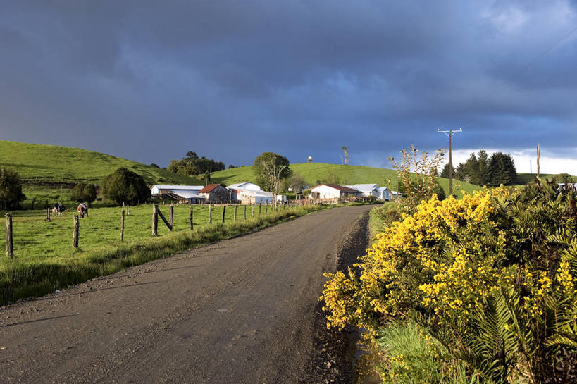 无人,家,横图,室外,白天,正面,旅游,度假,草地,草坪,花海,花圃,美景,植物,道路,路,叶子,智利,阴影,盛开,光线,影子,房屋,屋子,景观,云,云朵,小路,交通,花蕾,云彩,娱乐,楼房,住宅,草,花,花瓣,花朵,花卉,鲜花,树,树木,蓝色,绿色,白云,蓝天,天空,阳光,自然,花丛,花束,花田,天,花苞,花蕊,享受,休闲,景色,南美,放松,乡间小路,生长,晴朗,成长,南美洲,拉丁美洲,自然风光,美洲,亚美利加洲,南亚美利加洲,智利共和国,奇洛埃岛,晴空,彩图,房子,湖大区,奇洛埃省,奇洛埃群岛