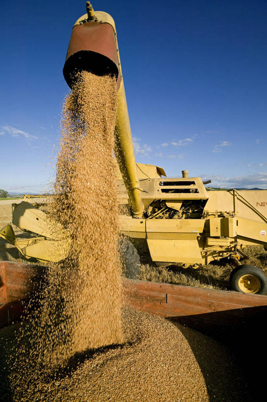 无人,农田,竖图,室外,白天,正面,旅游,度假,庄稼,农作物,收割,小麦,美景,法国,欧洲,阴影,光线,工具,影子,景观,云,云朵,谷物,麦田,云彩,娱乐,蓝色,白云,蓝天,天空,阳光,自然,天,享受,休闲,景色,放松,麦子,晴朗,西欧,法兰西,自然风光,收割机,农具,法兰西共和国,法兰西第五共和国,奥弗涅,脱粒,奥弗涅大区,多姆山,晴空,彩图,耕地,庄稼田