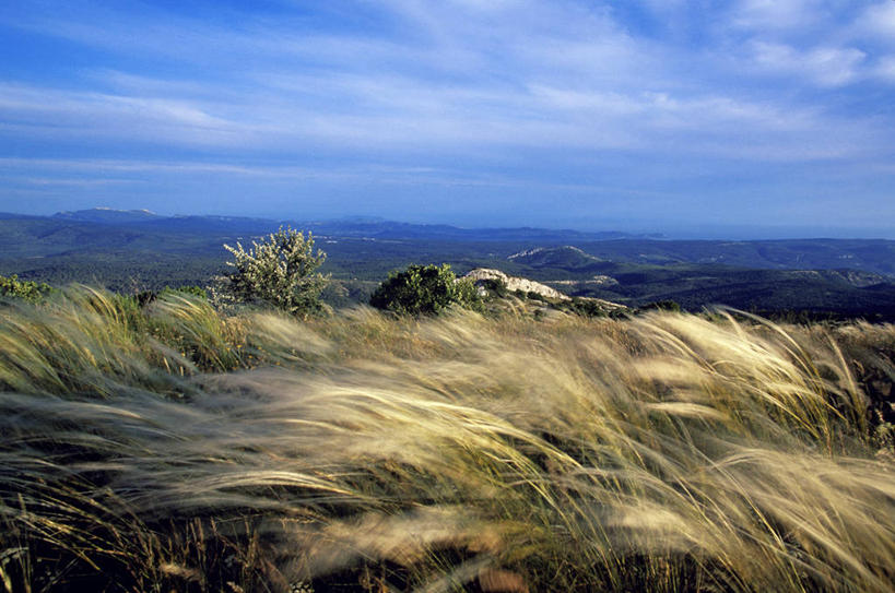 无人,横图,室外,白天,正面,旅游,度假,草地,草坪,美景,山,山脉,植物,法国,欧洲,阴影,光线,影子,景观,山峰,云,云朵,山峦,云彩,娱乐,草,树,树木,蓝色,绿色,白云,蓝天,天空,阳光,自然,群山,天,享受,休闲,景色,放松,生长,晴朗,成长,西欧,法兰西,自然风光,法兰西共和国,法兰西第五共和国,普罗旺斯.阿尔卑斯.蓝色海岸,普罗旺斯.阿尔卑斯.蓝色海岸大区,罗讷河口省,罗讷河口,晴空,彩图