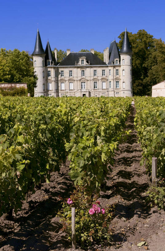 无人,家,果园,竖图,室外,白天,正面,旅游,度假,名胜古迹,田园,植物,标志建筑,地标,建筑,法国,欧洲,阴影,遗迹,光线,影子,堡垒,城堡,房屋,屋子,公寓,古迹,文物,娱乐,建设,古建筑,洋房,楼房,葡萄园,架子,住宅,树,树木,蓝色,绿色,蓝天,天空,阳光,自然,庄园,天,享受,休闲,旅游胜地,放松,生长,晴朗,成长,支撑,固定,西欧,要塞,法兰西,葡萄架,古文明,万里无云,法兰西共和国,首府,波尔多,阿基坦,法兰西第五共和国,亚魁当,波尔多市,吉伦特省,阿基坦大区,设防,吉伦特,晴空,晴空万里,彩图,房子,碧尚女爵庄园,波亚克