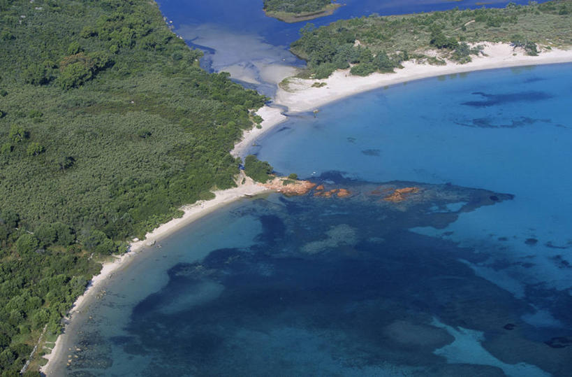 无人,横图,俯视,航拍,室外,白天,旅游,度假,海浪,海洋,美景,森林,沙滩,树林,植物,法国,欧洲,阴影,光线,沙子,影子,海岸,景观,浪花,沙地,娱乐,树,树木,绿色,阳光,自然,海水,享受,休闲,景色,放松,生长,成长,科西嘉,科西嘉岛,西欧,鸟瞰,法兰西,自然风光,海景,法兰西共和国,法兰西第五共和国,南科西嘉,南科西嘉省,科西嘉大区,大海,风浪,海,海水的波动,海滩,近岸浪,涌浪,彩图,高角度拍摄