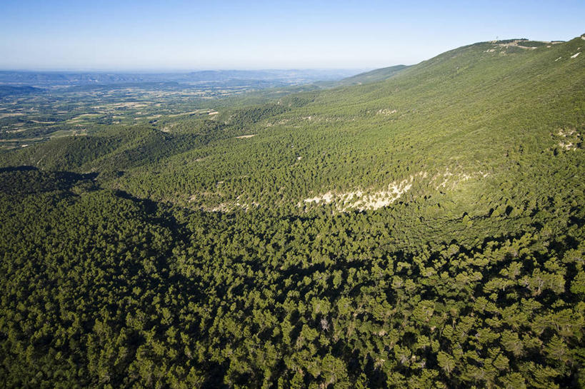 无人,横图,俯视,航拍,室外,白天,旅游,度假,美景,森林,山,山脉,树林,植物,松树,法国,欧洲,阴影,光线,影子,景观,山峰,山峦,娱乐,树,树木,蓝色,绿色,蓝天,天空,阳光,自然,群山,天,享受,休闲,景色,放松,茂密,茂盛,生长,晴朗,成长,西欧,沃克吕兹省,鸟瞰,法兰西,自然风光,坚定,万里无云,法兰西共和国,法兰西第五共和国,长寿,贞洁,普罗旺斯.阿尔卑斯.蓝色海岸,普罗旺斯.阿尔卑斯.蓝色海岸大区,晴空,晴空万里,彩图,高角度拍摄,吕贝隆山区